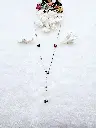 20250415_143000.webp