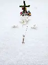 20250415_143324.webp