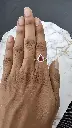 20250411_175628.webp